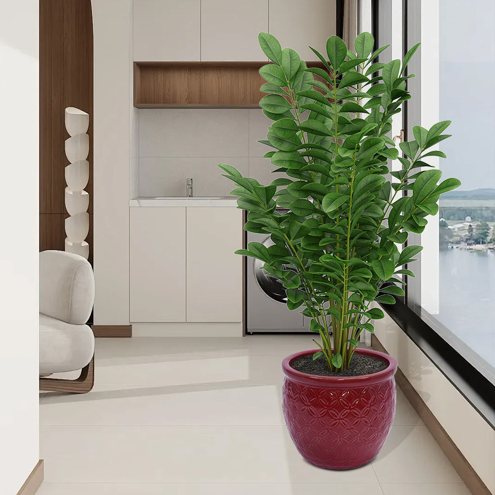 Set of 3 Ceramic Flowerpot, Modern Planter for Patio, Garden, Windowsill - Red