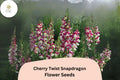 Cherry Twist Snapdragon Seeds - 1000+ Vibrant Cherry-Red Blooms for Garden & Cut Flowers