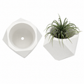 Diamond Cement Planter – Geometric Concrete Pot – 2" x 1.75"