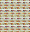 Set of 500 Assorted Flower Seed Packets! Flower Seeds in Bulk - 20+ Varieties Available! (500)
