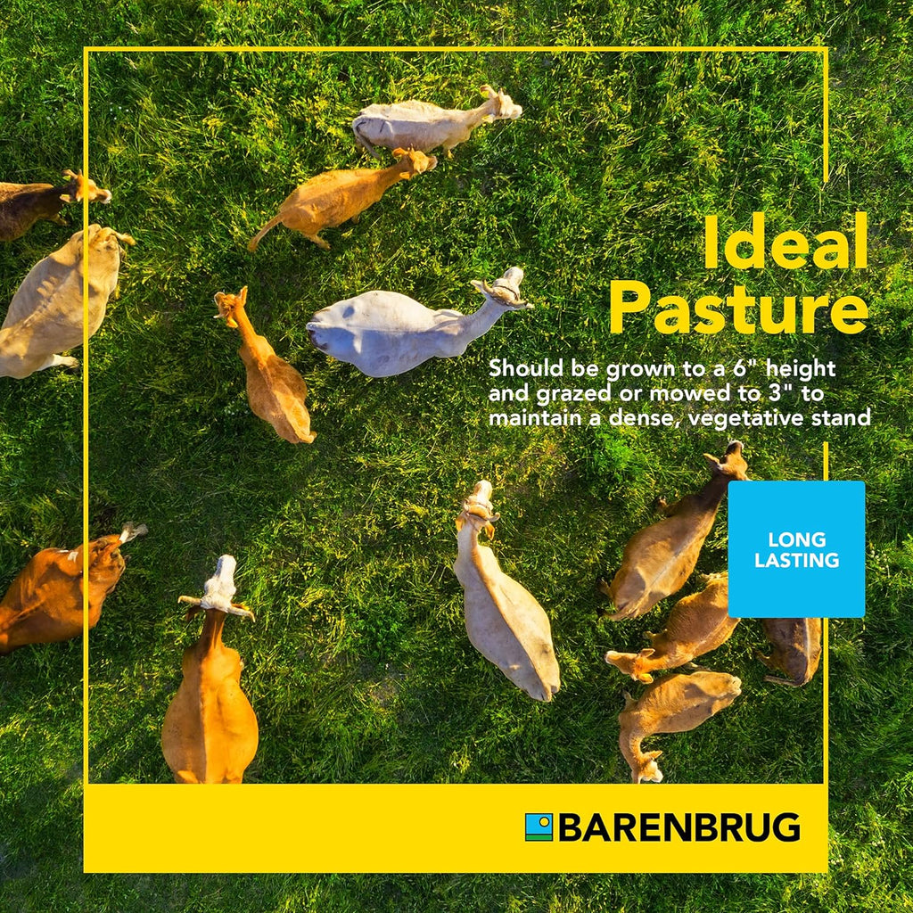 Barenbrug Stockmaster Pro