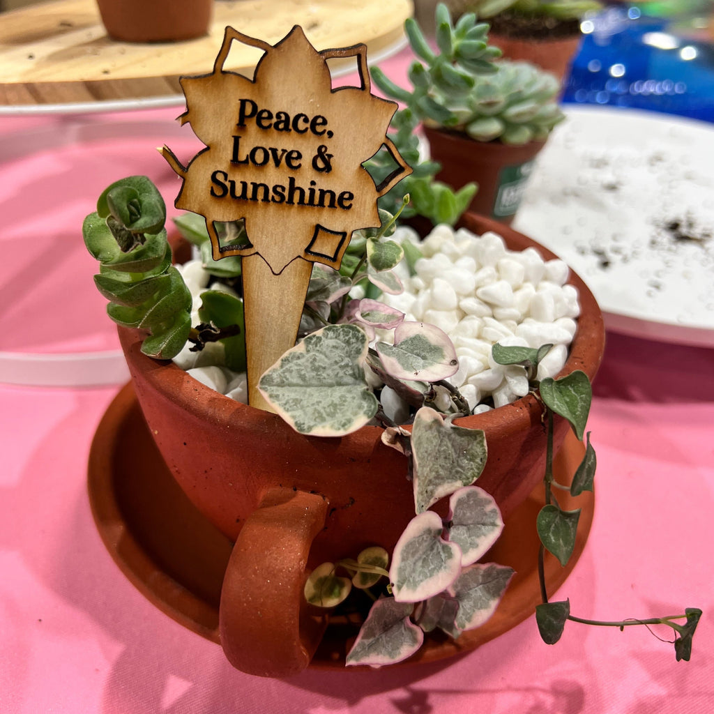 Love Grows Here Succulent Workshop- TBD