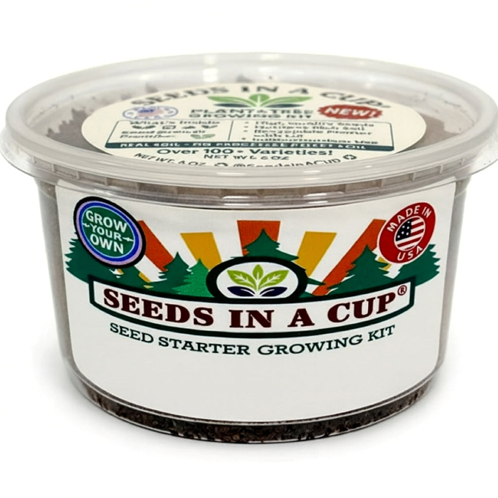 Dill Grow Kit | Grow Fresh Dill from Seed | Seeds In A Cup®