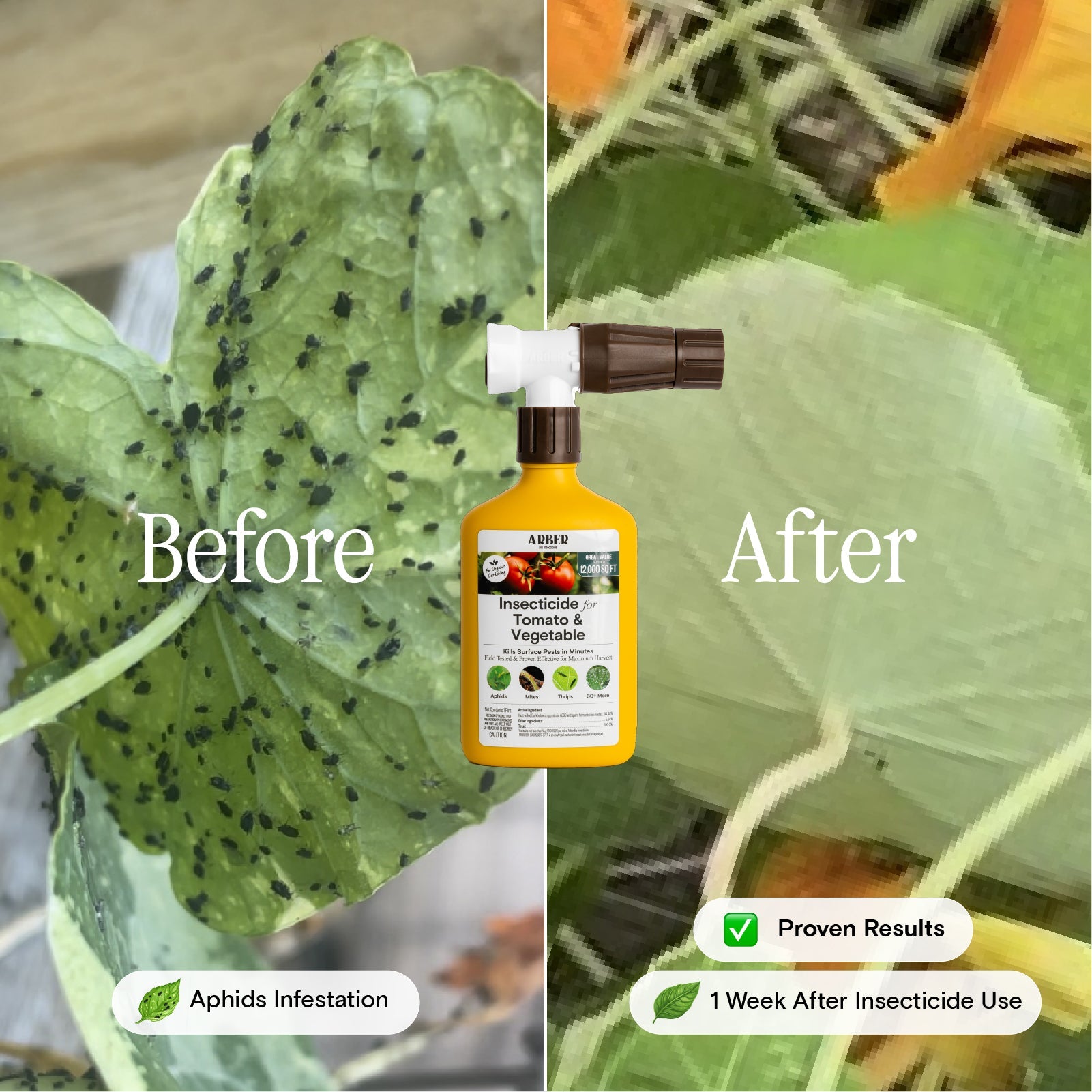 Organic Insecticide for Tomato & Vegetable