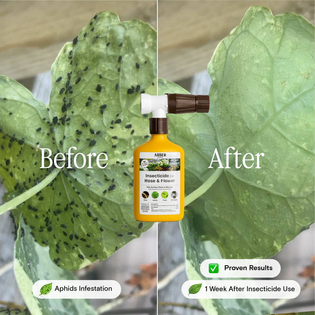 Organic Insecticide for Rose & Flower