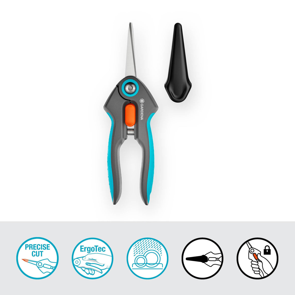 FreshCut Scissors