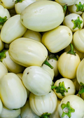 African Eggplant, Nya Nya Chungu (Solanum aethiopicum)