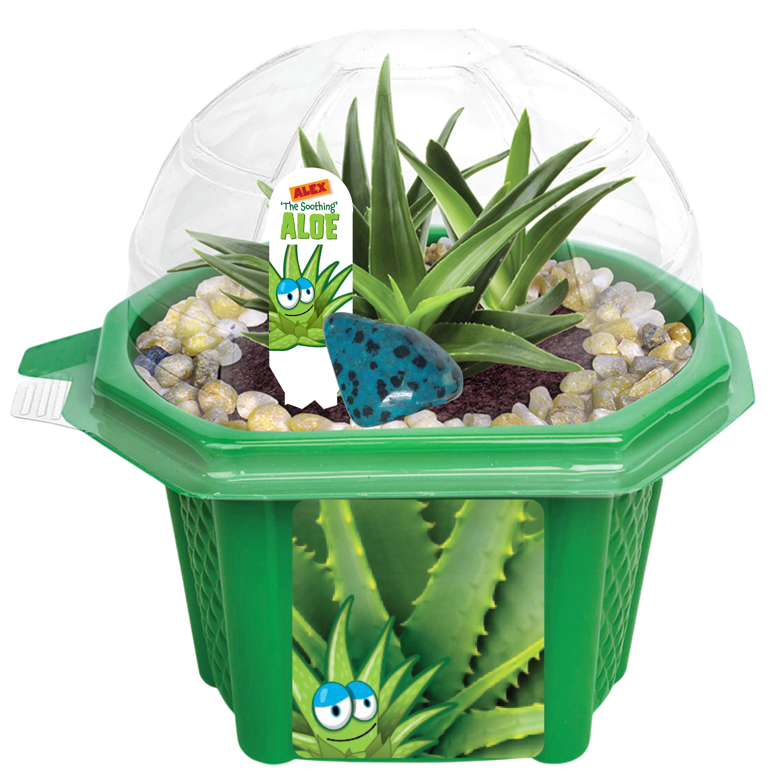 Alex 'The Soothing' Aloe Micro Dome Terrarium