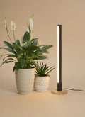 Grove™ Grow Light with Alta™ Vertical Stand Set