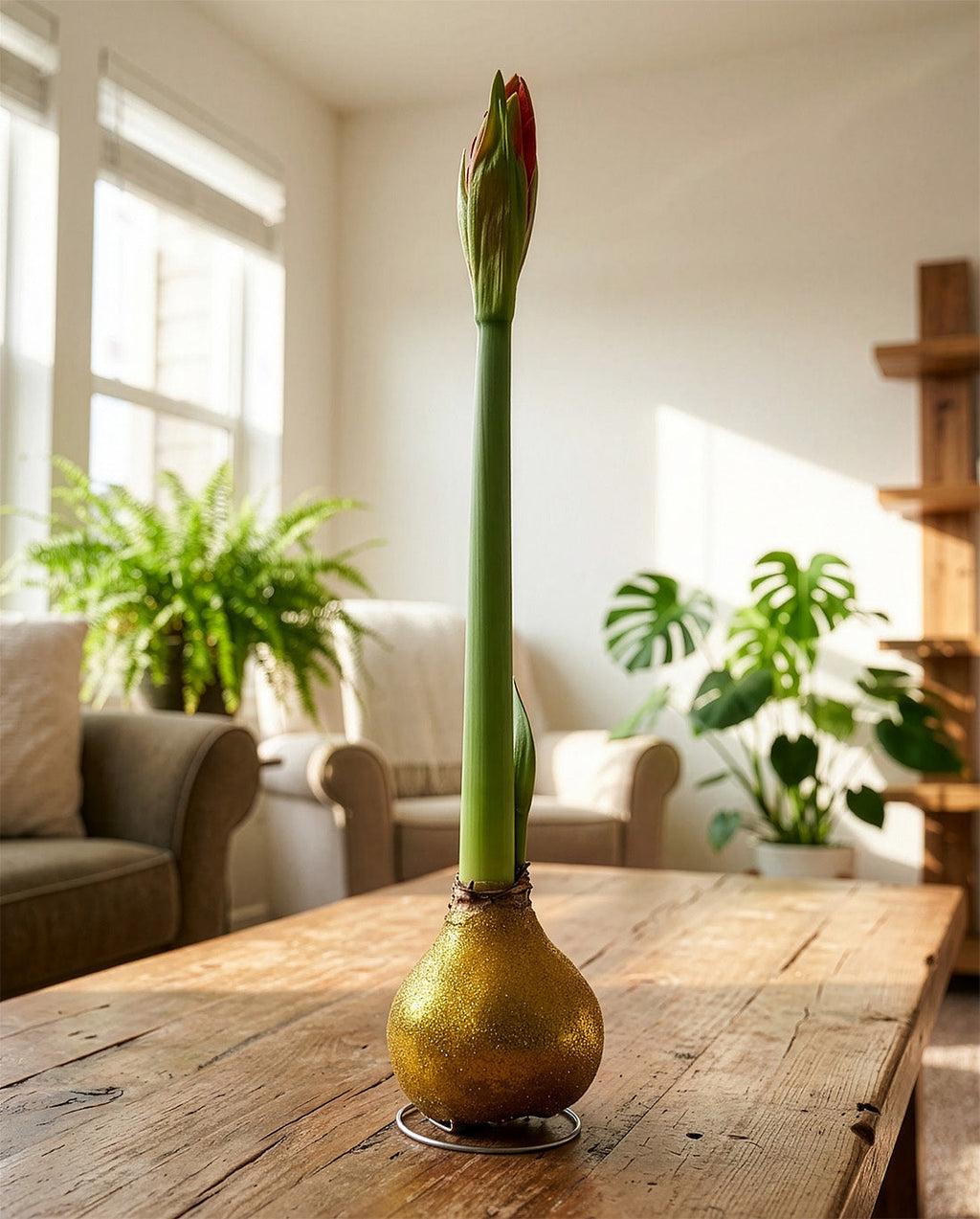 Gold Glitter Waxed Amaryllis with Red Flower
