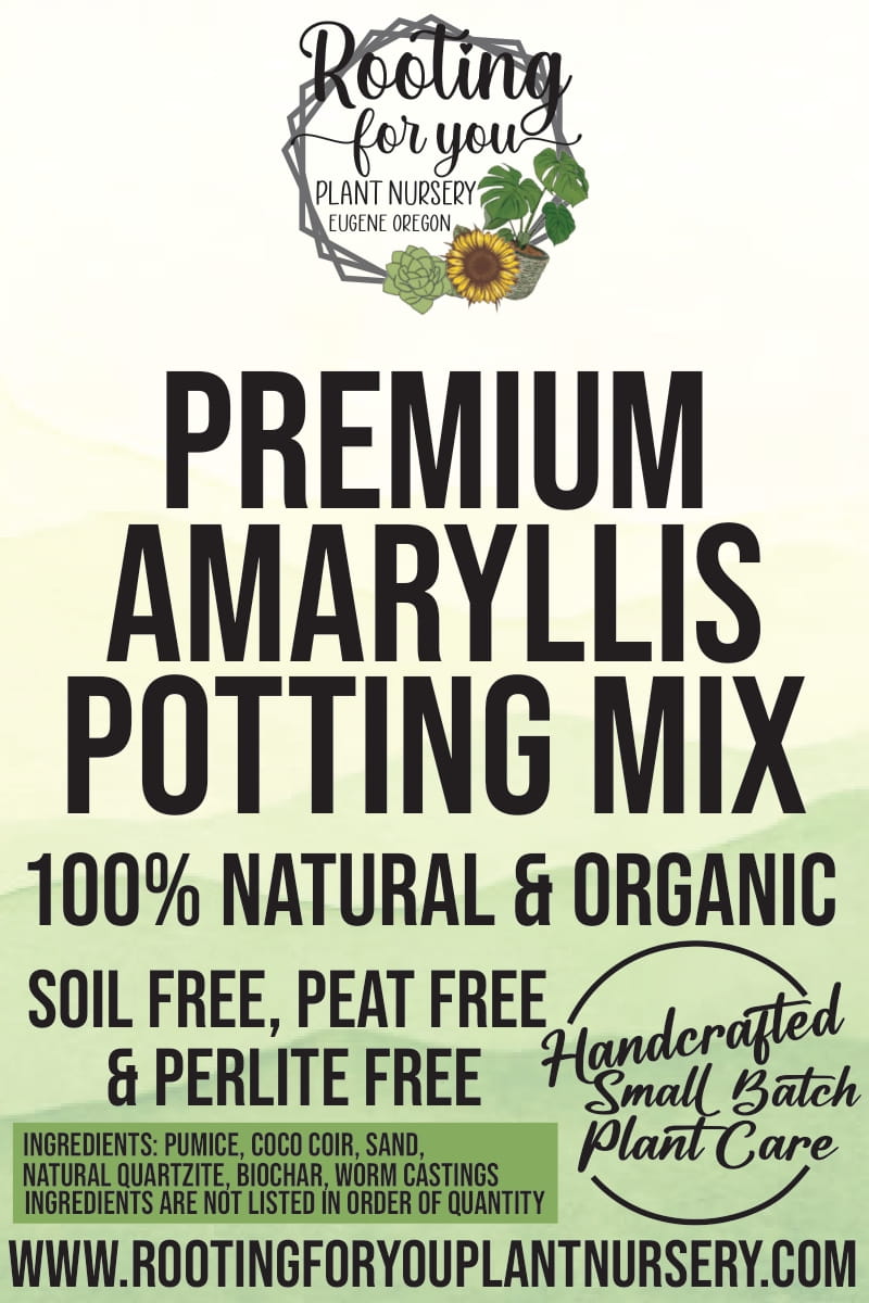Amaryllis Premium Potting Mix