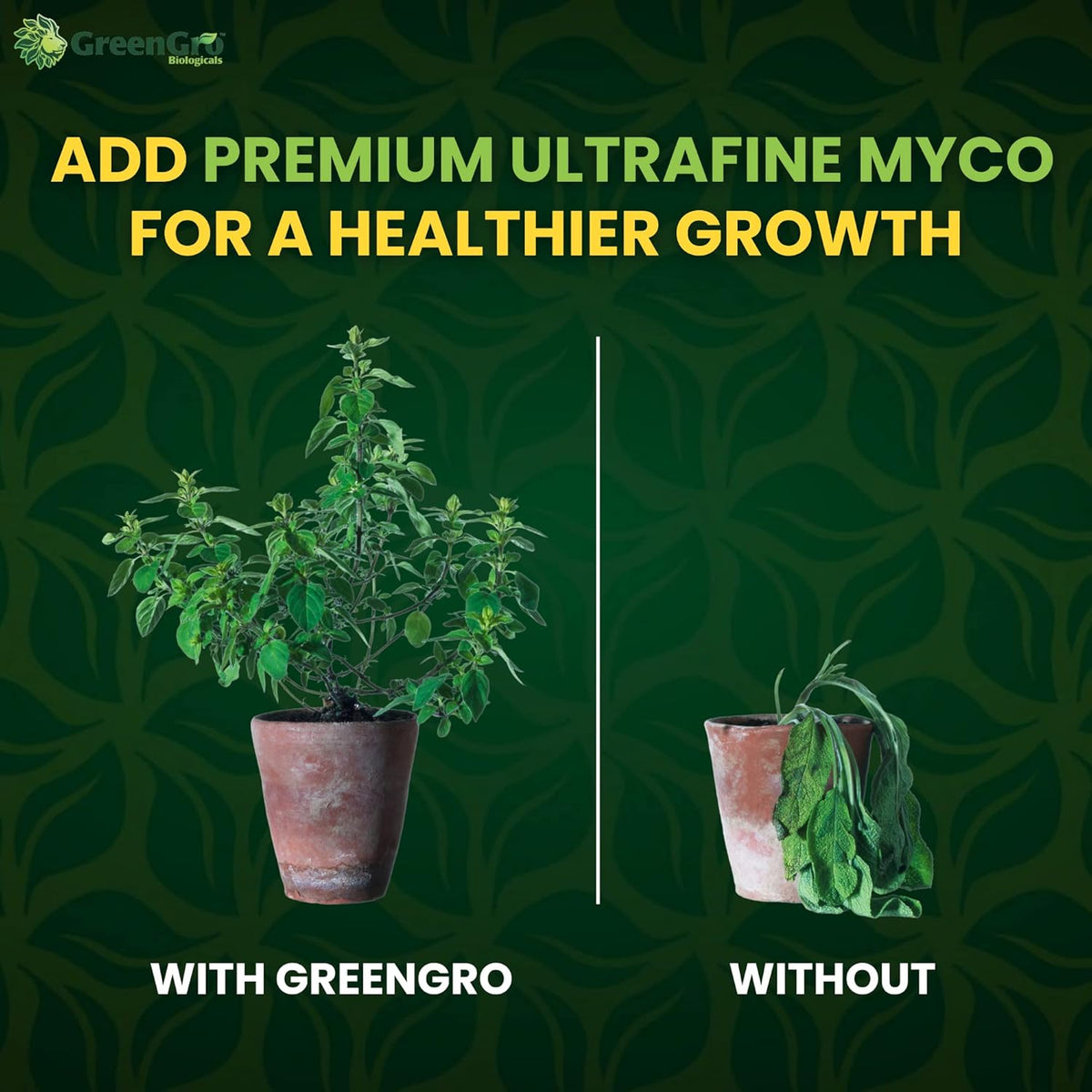 Premium Ultrafine Myco