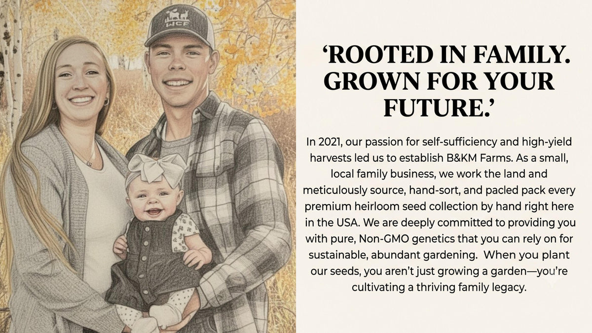 50 Vegetable Seed Packet Vault: 50,000 Heirloom Seeds