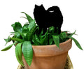 American Eskimo Ornament or Plant Stake