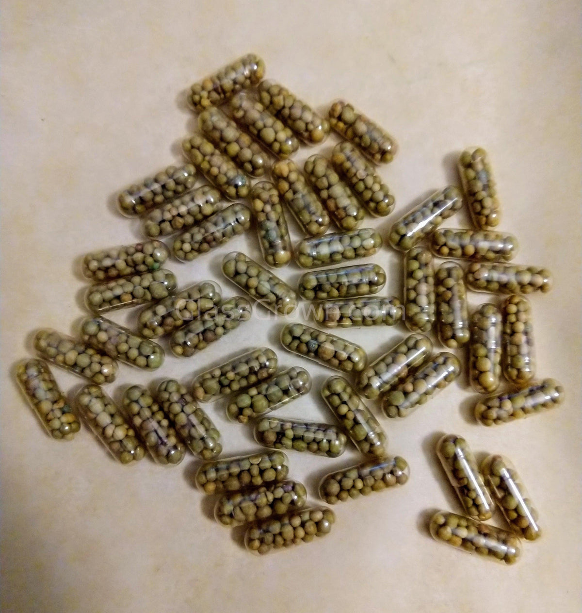 Aquarium Root Fertilizer Tabs