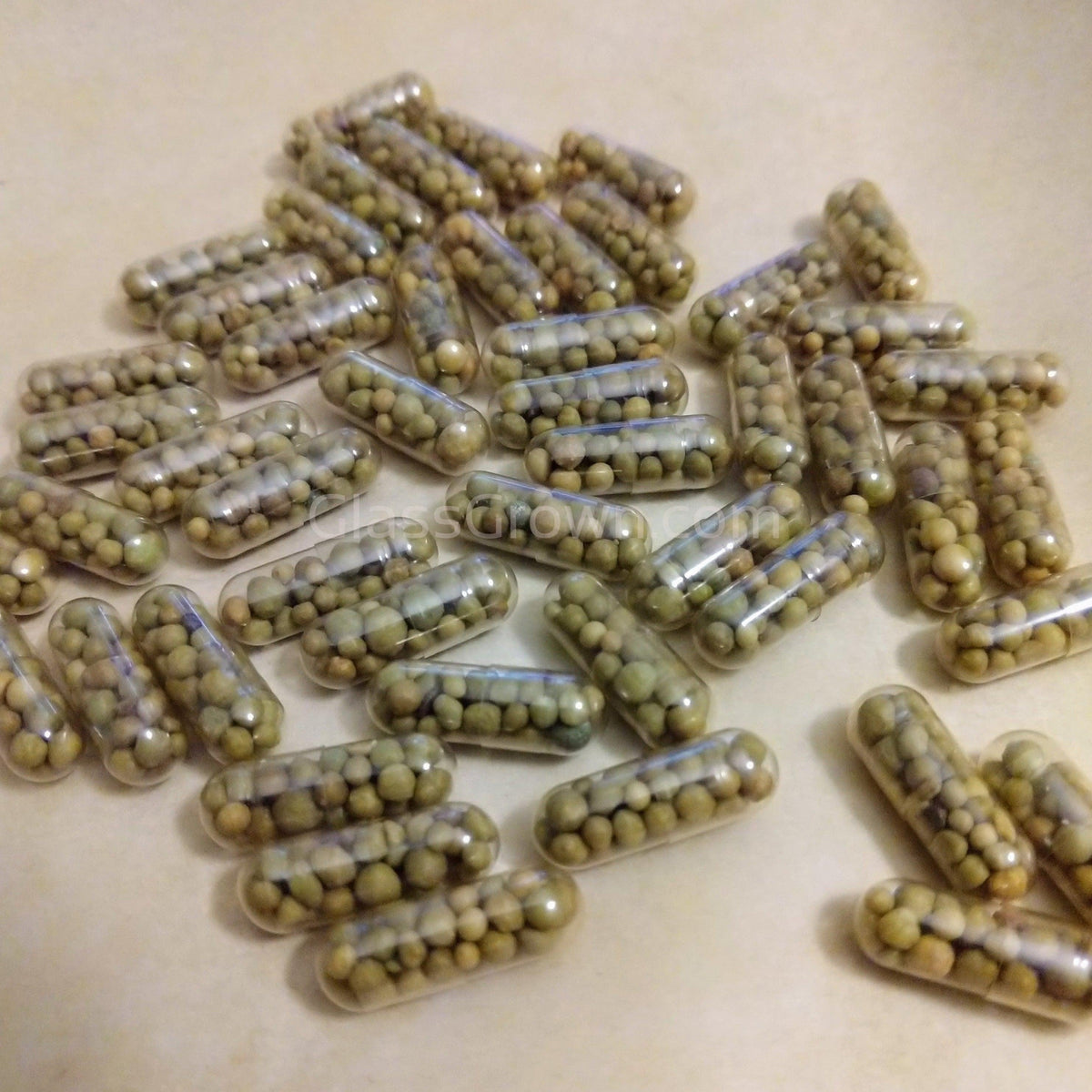Aquarium Root Fertilizer Tabs