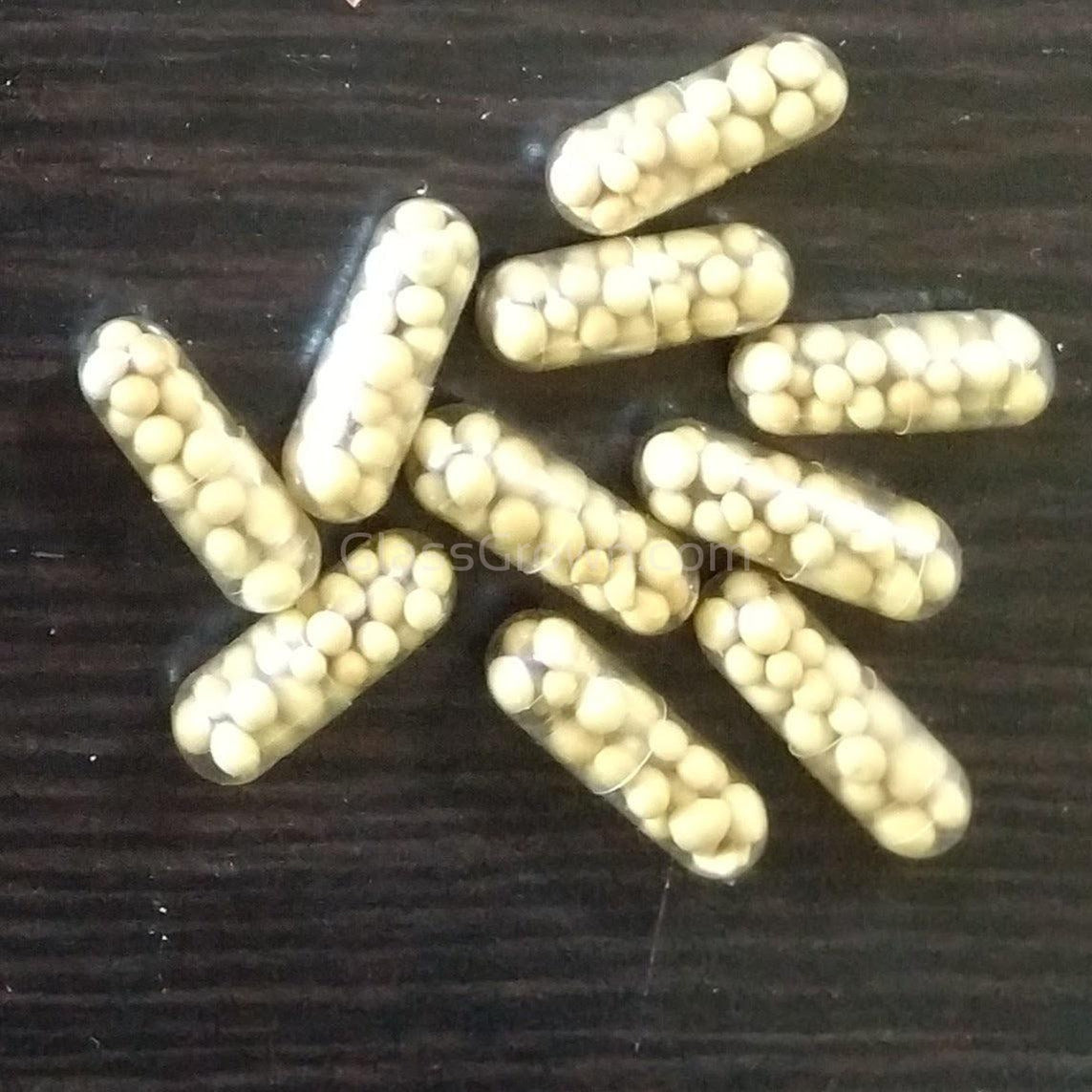 Aquarium Root Fertilizer Tabs
