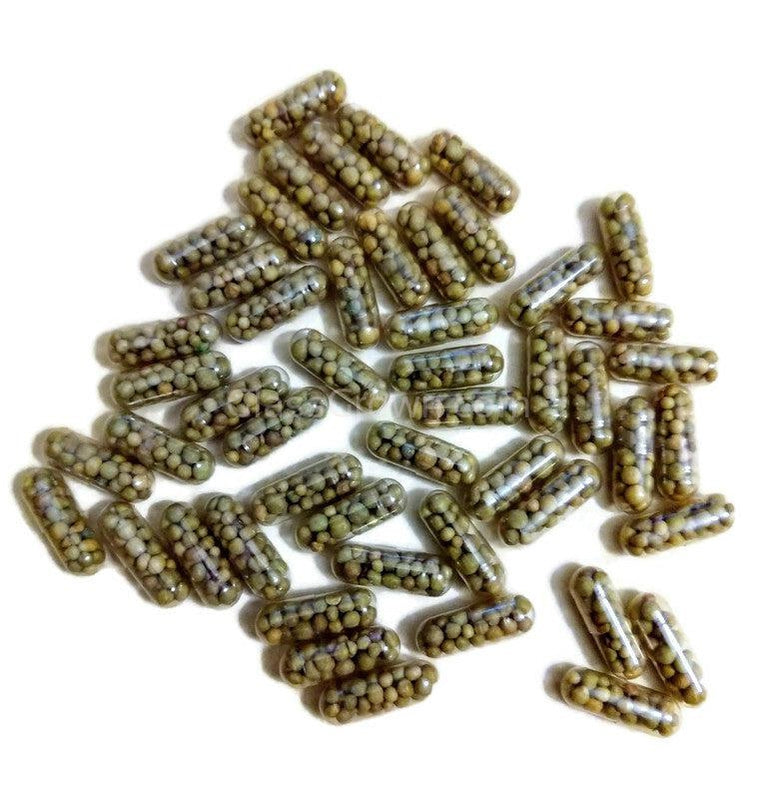 Aquarium Root Fertilizer Tabs