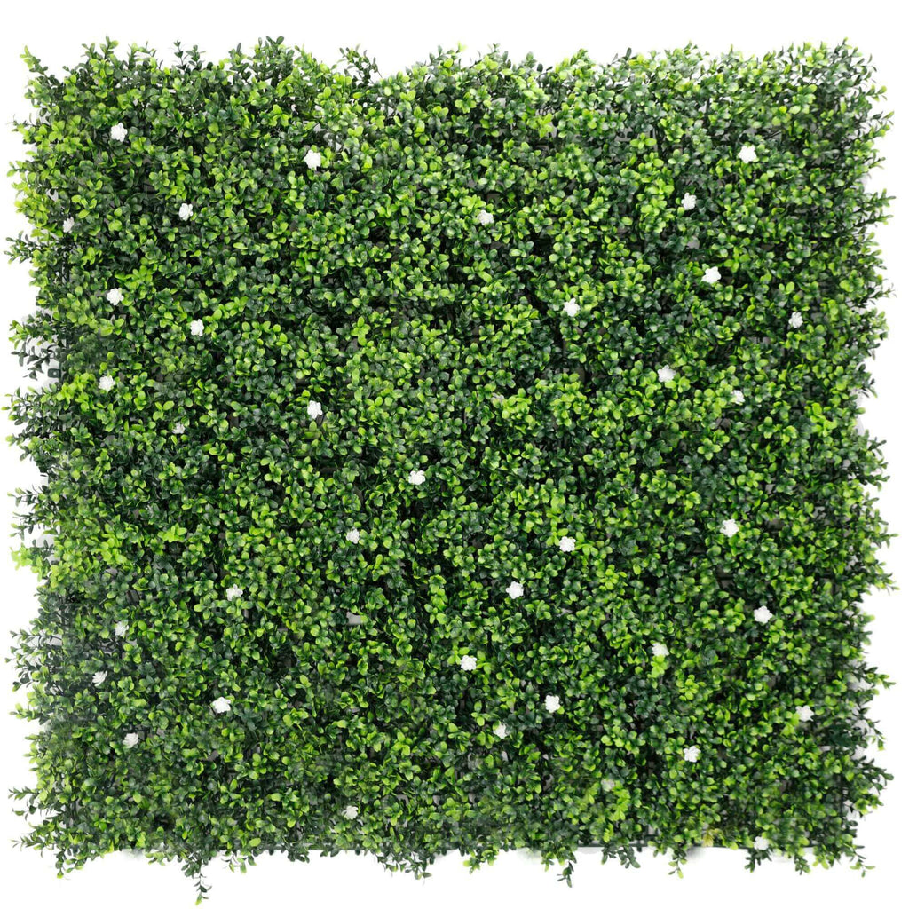 Sample Panel – White Flowering Boxwood Green Wall (Small Sample)