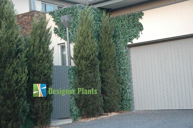 Sample Panel – Boston Ivy Green Wall (Small Sample)