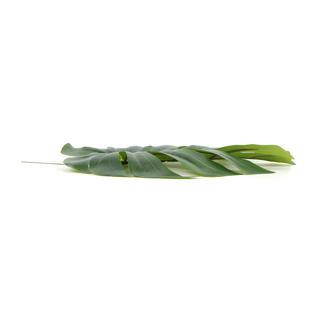 Single Philodendron Leaf Artificial Hanging Plant 11.5in (Clearance Price)