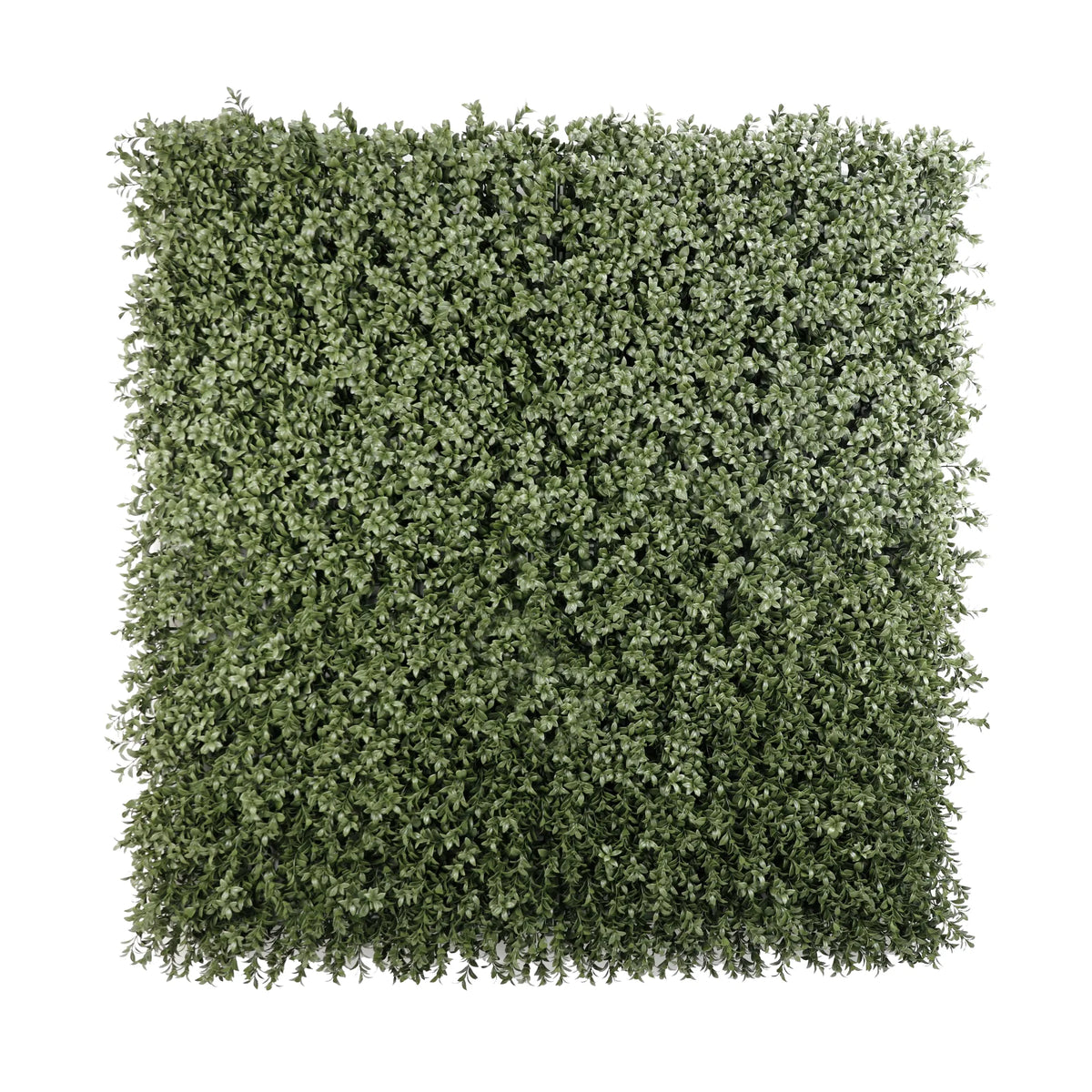 Dense Lush Boxwood Artificial Vertical Garden Green Wall Panel 40×40in 11 SQ FT – NFPA 701 Certified – UV Resistant – Commercial Grade