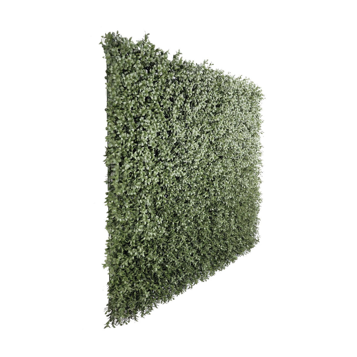 Dense Lush Boxwood Artificial Vertical Garden Green Wall Panel 40×40in 11 SQ FT – NFPA 701 Certified – UV Resistant – Commercial Grade