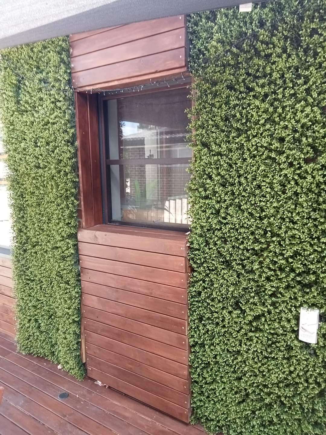 Sample Panel – Natural Boxwood Green Wall (Small Sample)