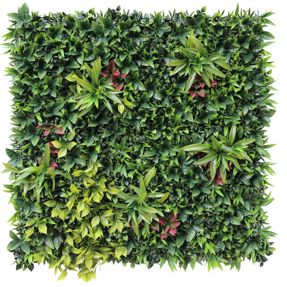 Sample Panel – Green Meadows Vertical Garden (Small Sample)