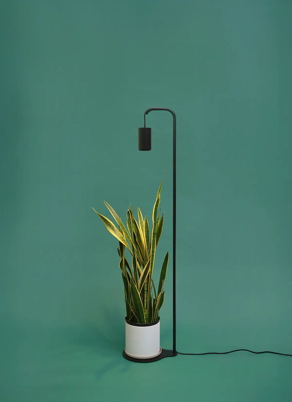 Aspect™ Grow Light with Stello™ Pendant Stand Set