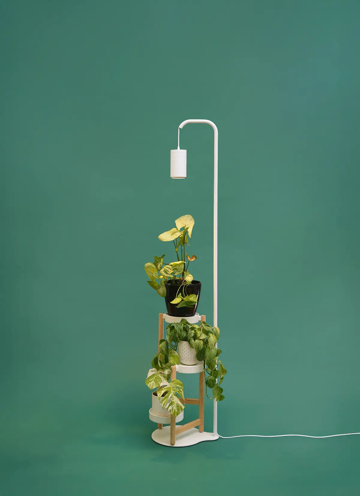 Stello™ Adjustable Pendant Stand