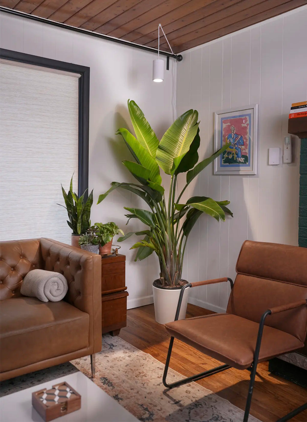 Aspect™ Gen 2 LED Growlight