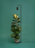 Aspect™ Grow Light with Stello™ Pendant Stand Set