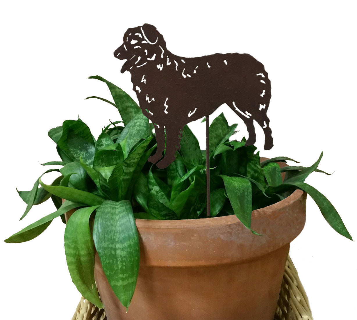 Australian Shepard Plant Stake