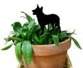 Australian Cattle Dog Plant Stake