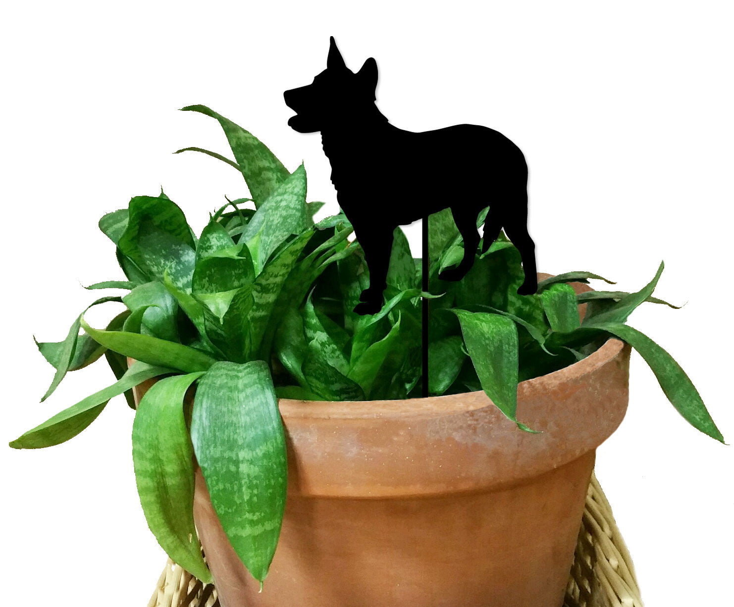 Australian Cattle Dog Plant Stake