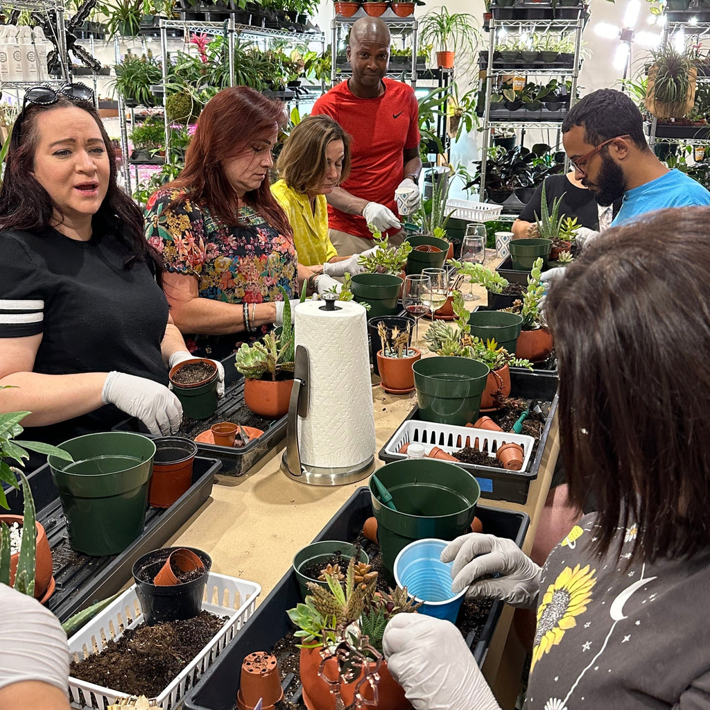 Love Grows Here Succulent Workshop- TBD