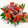 Floral Dreamland