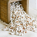 Kenearly Yellow Eye Bean (Bush)