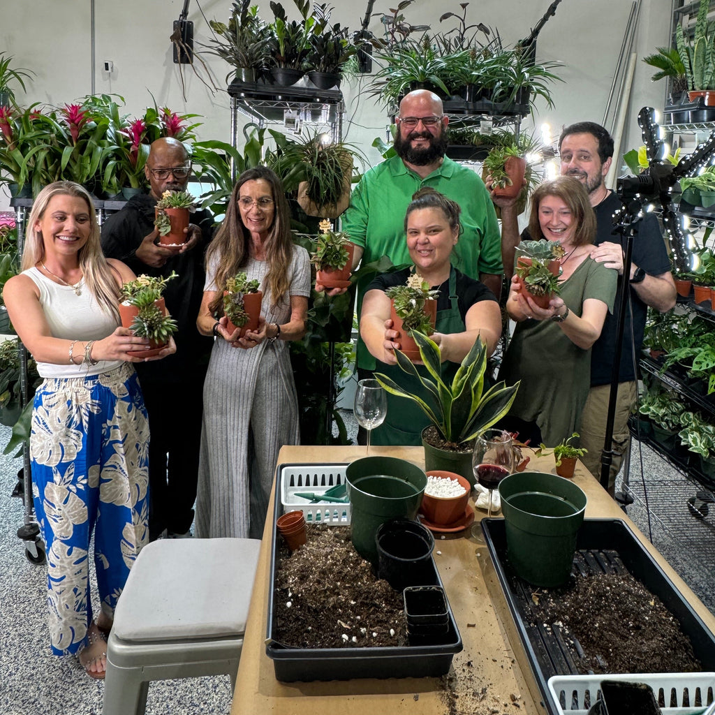 Love Grows Here Succulent Workshop- TBD