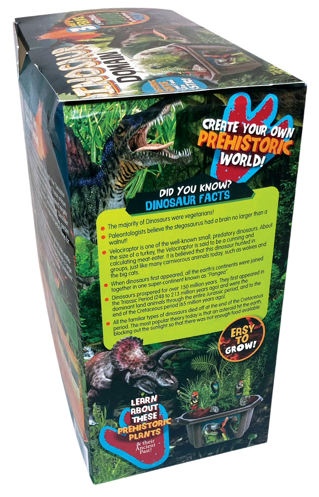Dinosaur Domain Biosphere Terrarium