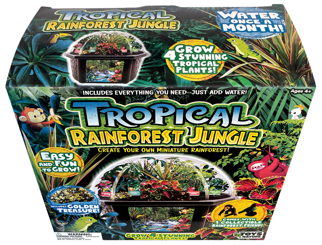 Tropical Rainforest Jungle Biosphere Terrarium