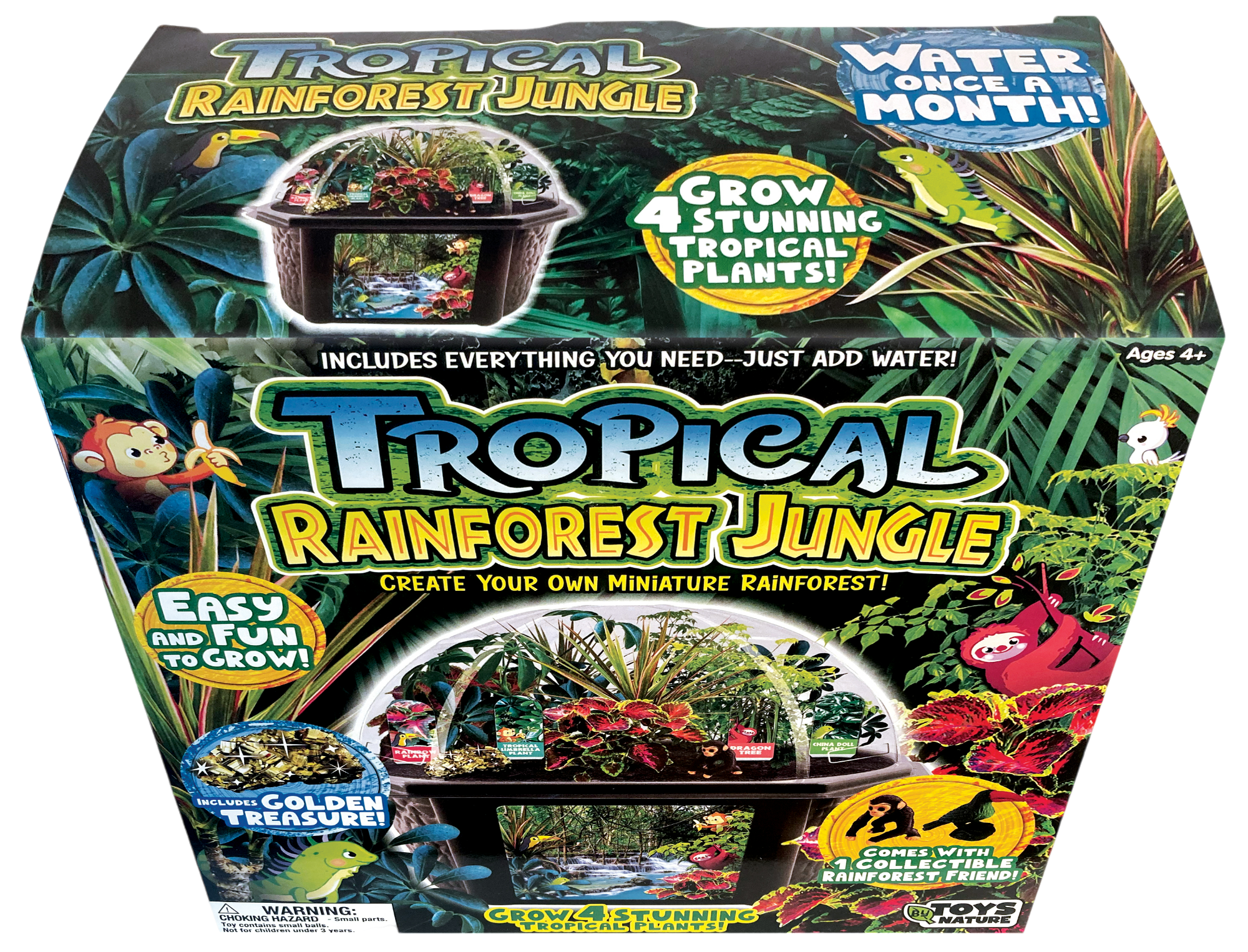 Tropical Rainforest Jungle Biosphere Terrarium