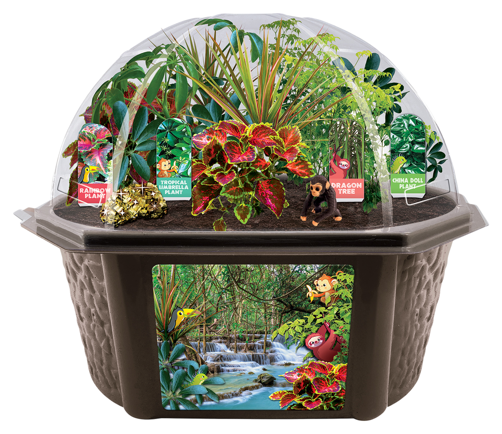 Tropical Rainforest Jungle Biosphere Terrarium