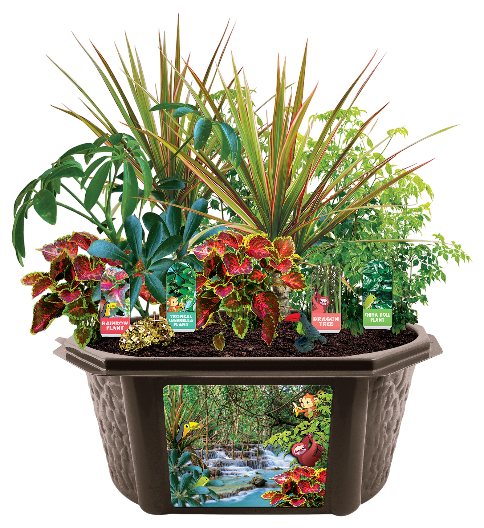 Tropical Rainforest Jungle Biosphere Terrarium