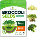 Organic Broccoli Seeds