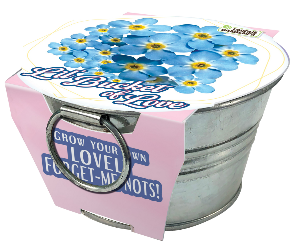 Lil' Bucket of Love - Grow Your Own Forget-Me-Nots Multipack of 3