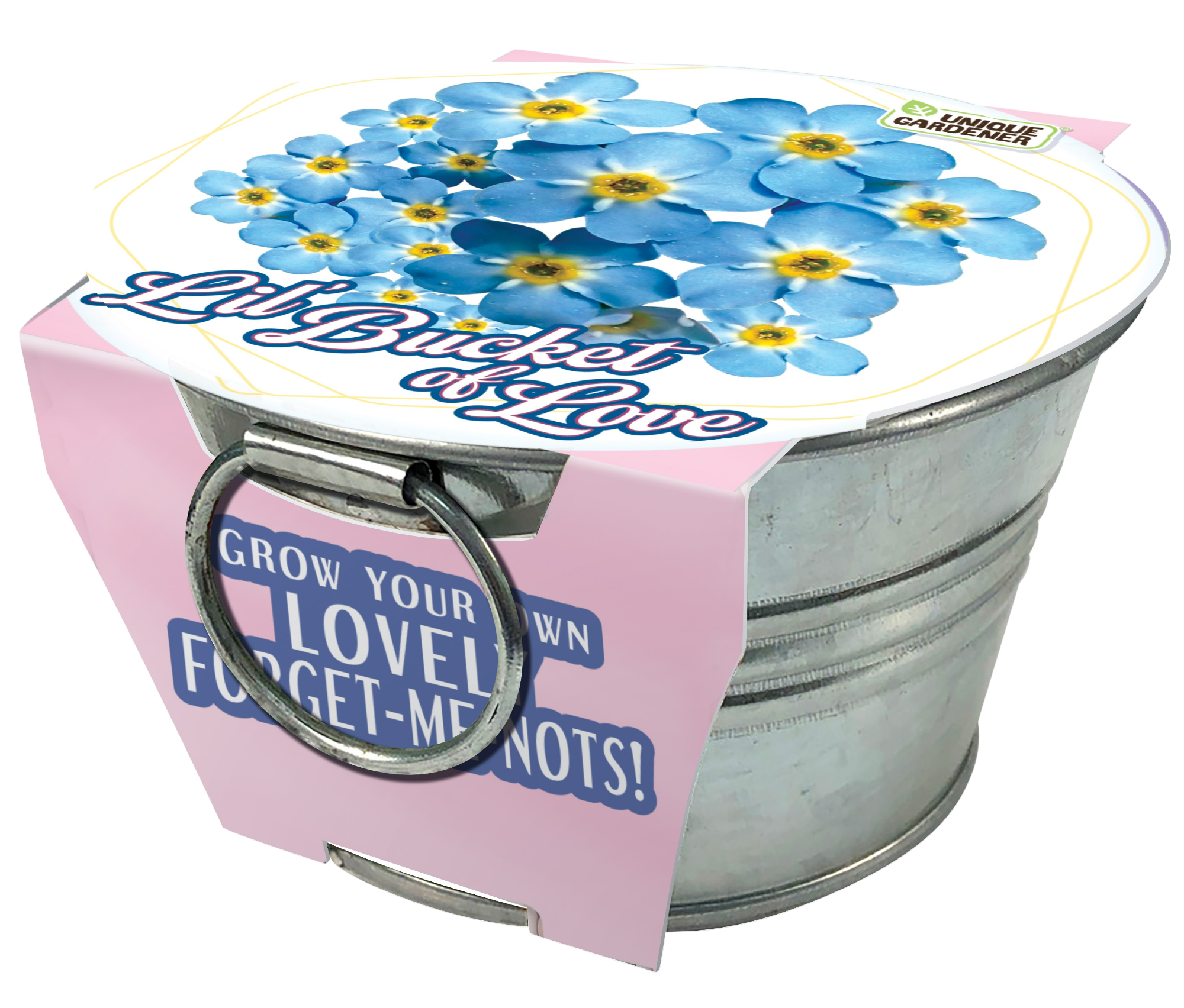 Lil' Bucket of Love - Grow Your Own Forget-Me-Nots Multipack of 3