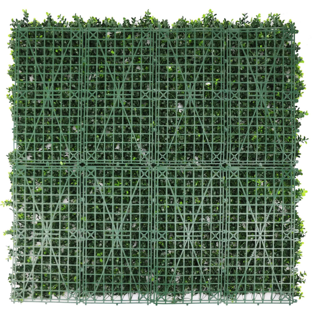 Sample Panel – White Flowering Boxwood Green Wall (Small Sample)