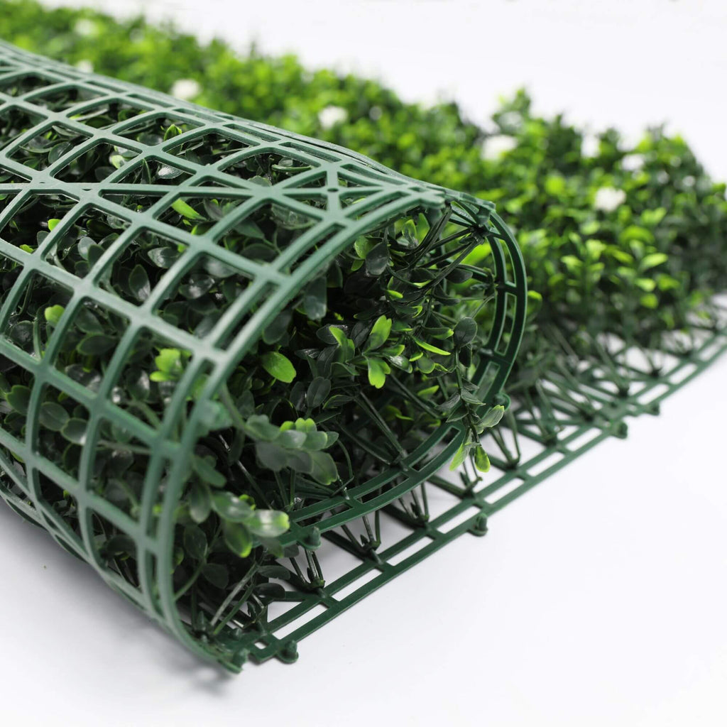 Sample Panel – White Flowering Boxwood Green Wall (Small Sample)